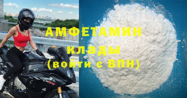 прущие грибы Михайловка