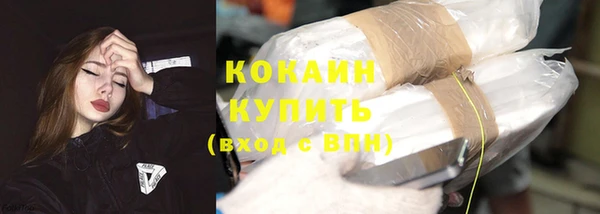 шишки Мегион