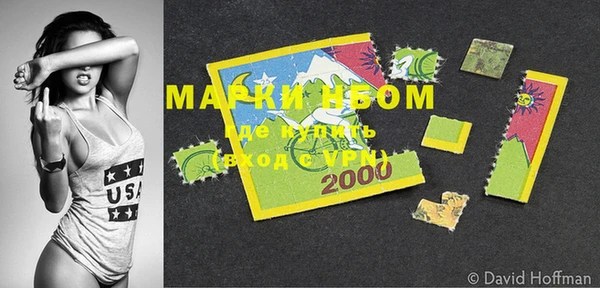 прущие грибы Михайловка