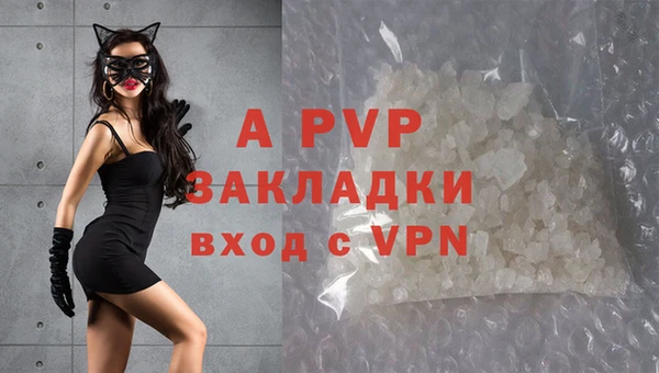 прущие грибы Михайловка