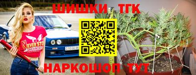 стафф Кандалакша
