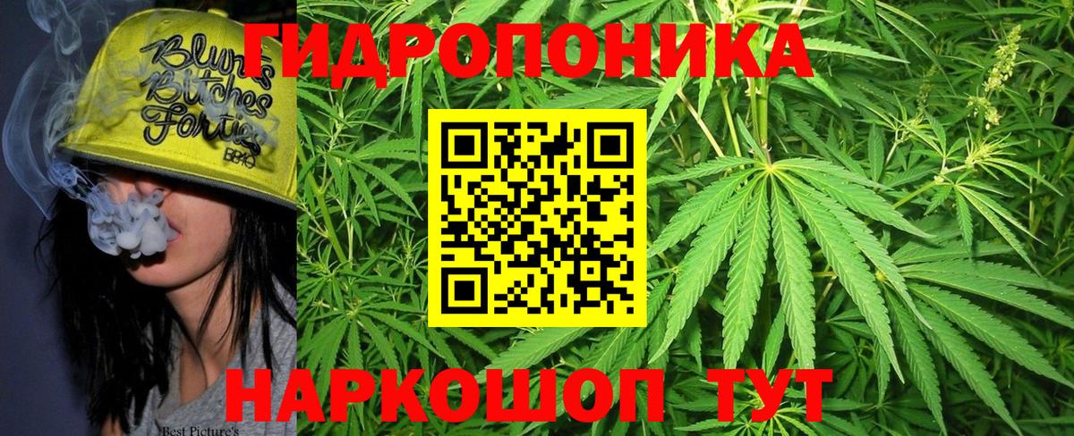 Каннабис OG Kush Туапсе
